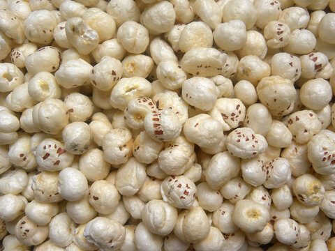 White color popped whole Fox nut