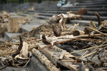 海辺に打ち上げられた漂流物やゴミ