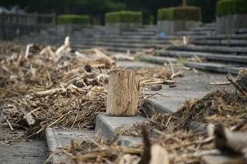 海辺に打ち上げられた漂流物やゴミ