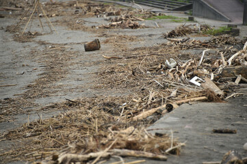 海辺に打ち上げられた漂流物やゴミ