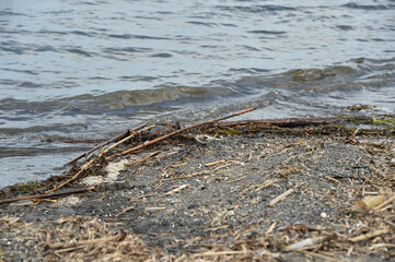 海辺に打ち上げられた漂流物やゴミ