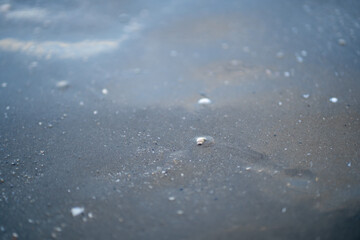 rain drops on the window
