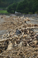 海辺に打ち上げられた漂流物やゴミ