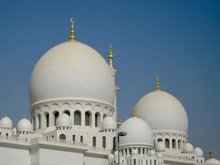 Foto op Plexiglas Sheikh Zayed Grand Mosque, Abu Dhabi, UAE © Afaranwide