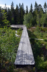 Abandoned water supply system for mines. Near Kongsberg,Norway