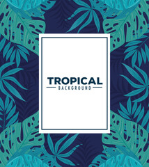 tropical background, with frame and leaves plants vector illustration design