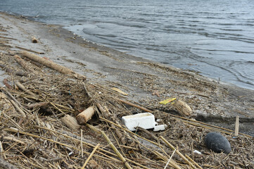 海辺に打ち上げられた漂流物やゴミ