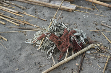 海辺に打ち上げられた漂流物やゴミ
