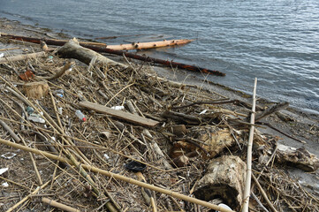 Obraz premium 海辺に打ち上げられた漂流物やゴミ