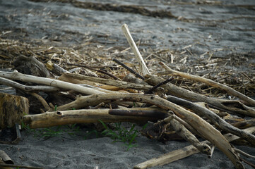 海辺に打ち上げられた漂流物やゴミ
