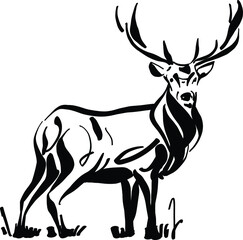 silhouette of a deer