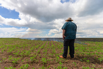 Man farmer looking over burning crop field