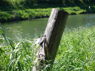 old wooden fence