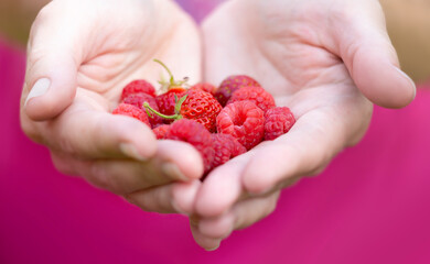 Red berries lie on the palms of women's hands, folded in the shape of a heart