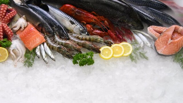 Variety of fresh seafood on ice. Fresh salmon, sea bass, red snapper, mackerel, crab, lobster, shrimp, black mussels, oyster, scallop and octopus on ice with ice smoke clouds.