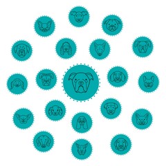 collection of dog icons