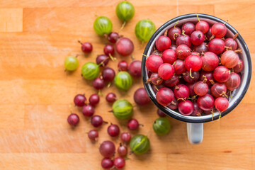 Close up of green fresh gooseberries in white cup, healthy homegrown berry Organich ripe gooseberry over rustic wooden background. Sweet and juicy berry.