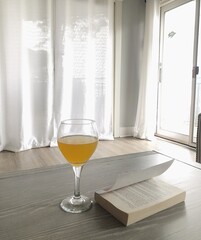 mimosa on the table, book, reading, breakfast, brunch, coastal living, simple interior, chic decor, coastal style living room, breezy home, open concept interior