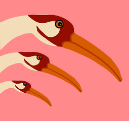 Pink heron, coral crane, illustration, art, drawing