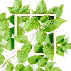 Botanical composition. Empty frame template decorated with green leaves. White background. Social media concept. Flat lay, top view.