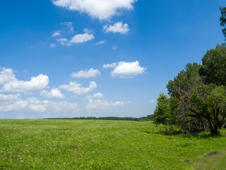 Green meadows and fields. White clouds in the blue sky. Summer sunny day