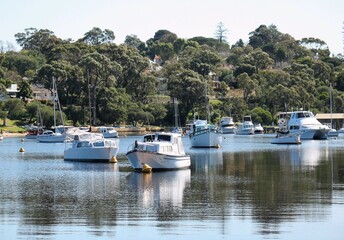boats on the swan river perth western australia - obrazy, fototapety, plakaty
