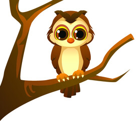 owl sitting on branch