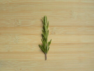 Green color raw fresh Rosemary leaves or Salvia rosmarinus
