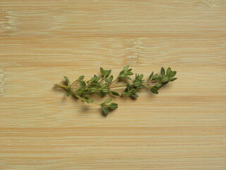 Green color raw fresh Thyme leaves or Thymus vulgaris