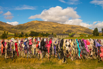 Rows of hanging bra along Cadrona Pass in New Zealand