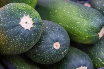 Solid background of fresh ripe and natural zucchini