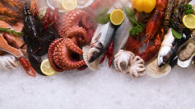Variety of fresh seafood on ice. Fresh salmon, sea bass, red snapper, mackerel, crab, lobster, shrimp, black mussels, oyster, scallop and octopus on ice with ice smoke clouds.