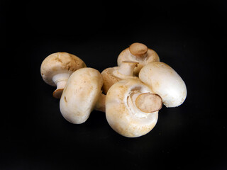 white mushroom isolated on black background