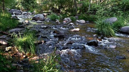 Peaceful Creek Days