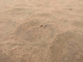 footprint in the sand