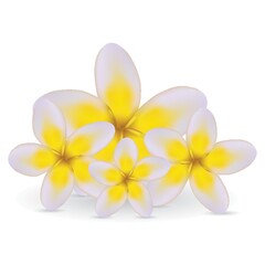 Fototapeta premium flowers