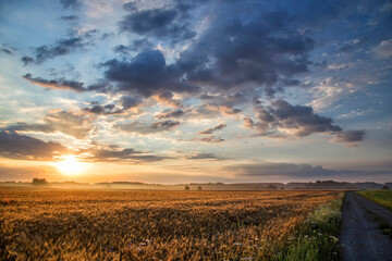 sunrise over the grain field wschód nad jeziorem