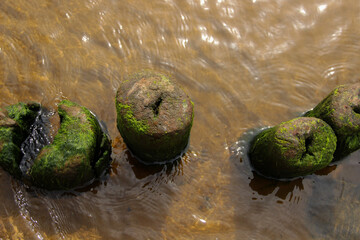 Wooden beams are part of an old pier. Pylons stand out of the shallow water.