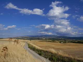 Stradine in mezzo ai campi