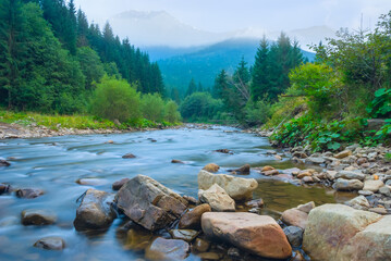 river rushing in a misty mountain with forest on a coast