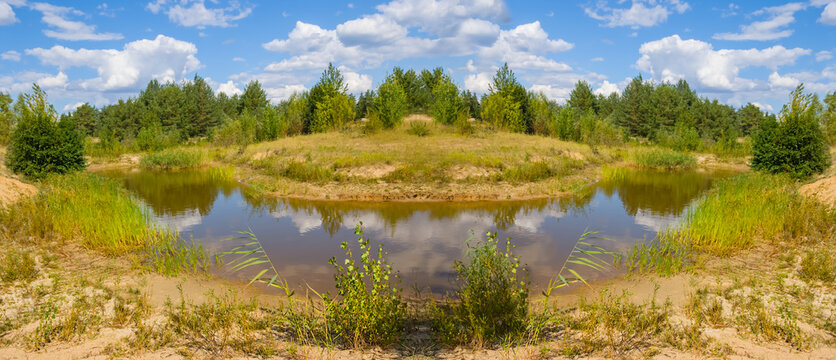 small lake in a forest, summer outdoor scene © Yuriy Kulik
