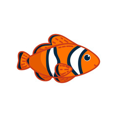 Nemo clownfish in white background. Colorful striped tropical fish. Vector illustration in cartoon style