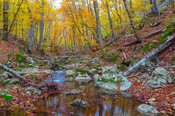 small quiet river in a mountain canyon, autumn outdoor scene