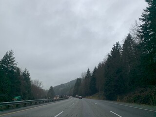 Naklejka premium road in the forest