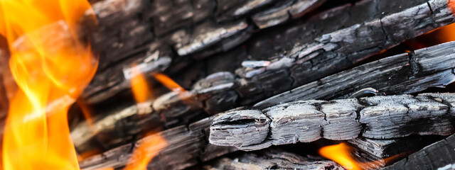 Flames of fire and hot coals of burned wood