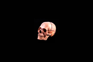 orthogonal Human skull view of medical lab skull isolated on black, realistic Skull bone,good for medical college anatomy