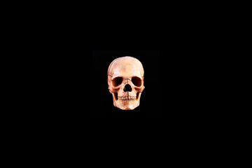 front view of medical lab Human skull isolated on black, realistic Skull bone,good for medical college anatomy