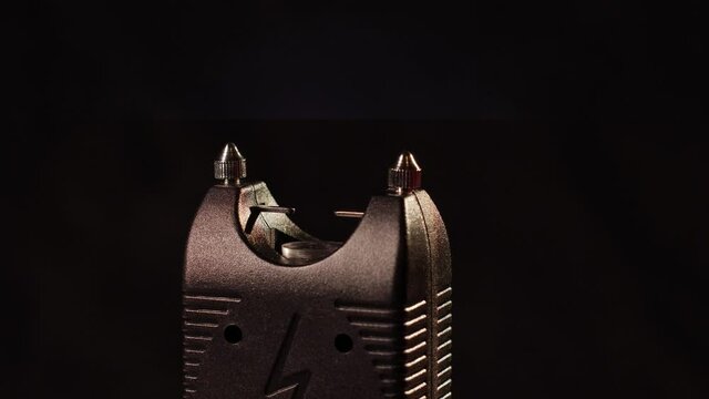 Portable stun gun for personal protection