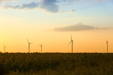 Fototapeta na wymiar Windmills for electric power in countryside