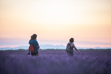 Family walking at sunset in the lavender fields of Brihuega, Spain.

